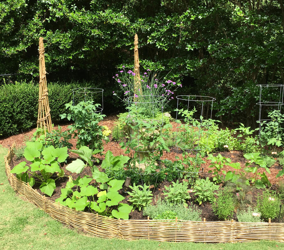 A bamboo wattle containing a vegetable garden
