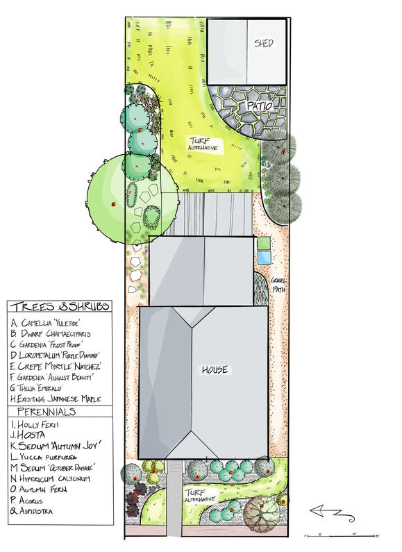 Cabbagetown Garden