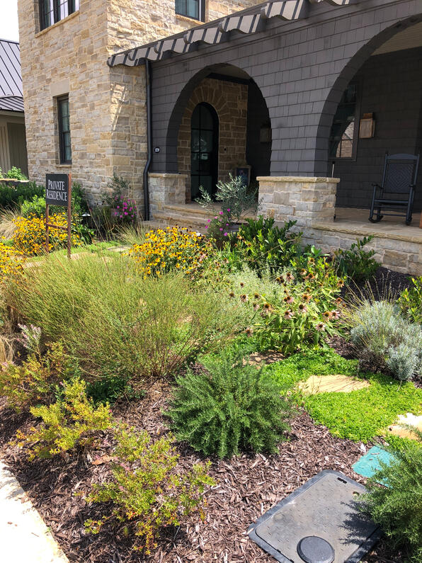 Xeriscaped garden in a luxury planned community