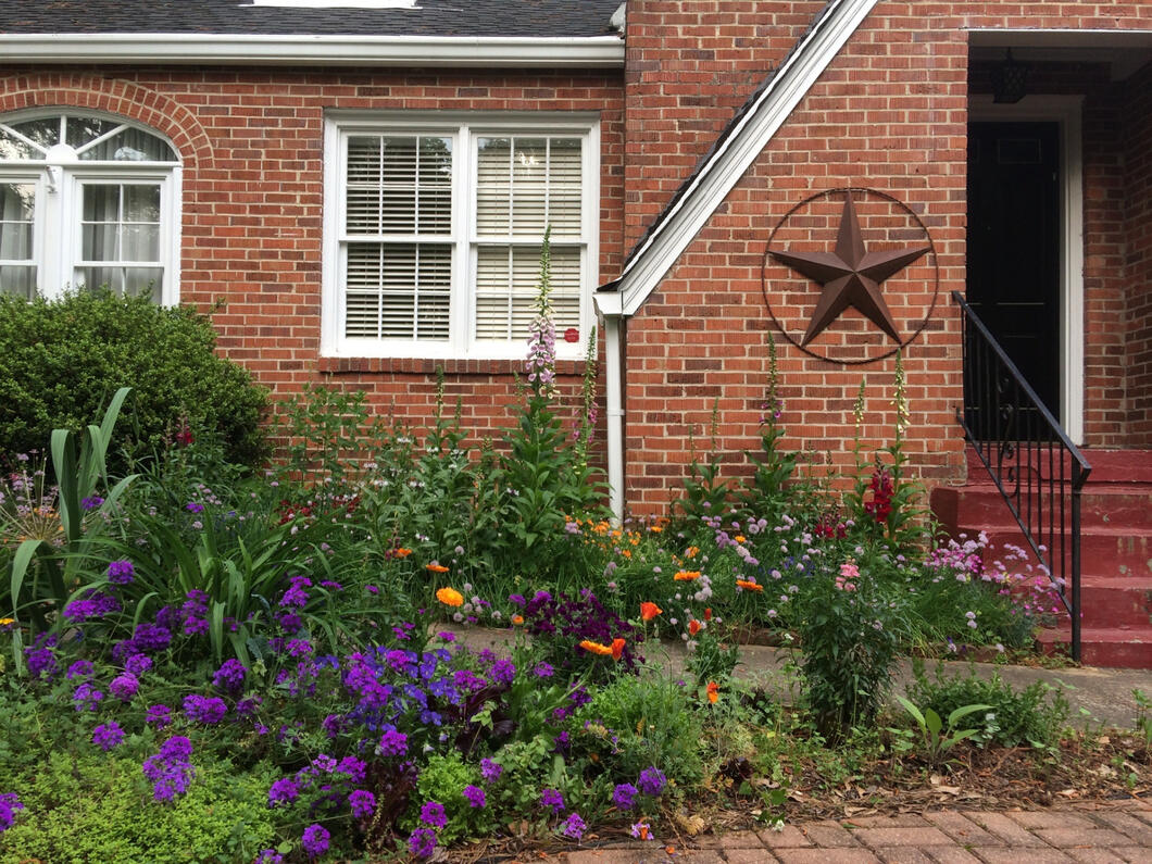 Cottage garden with flowers