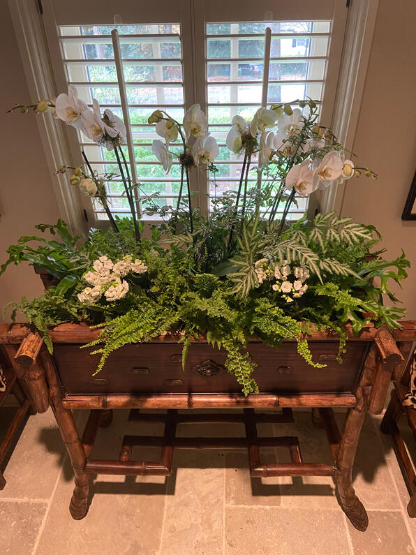 Interior scape in Buckhead