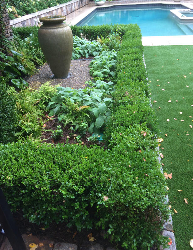 A formal parterre in a Buckhead Estate