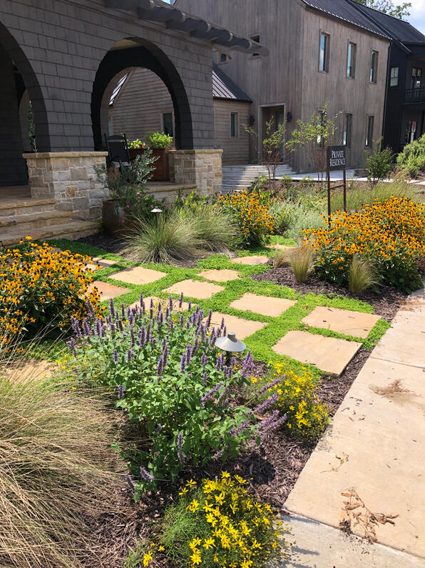 Xeriscaped garden in a luxury planned community