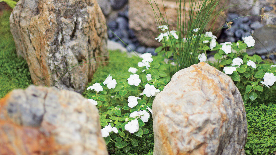 Miniature meditation garden