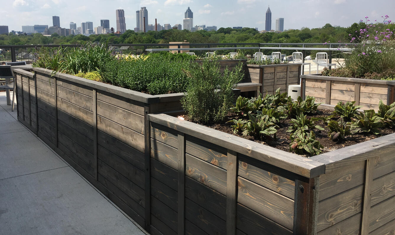Edible Roof-top Garden for a Residential building